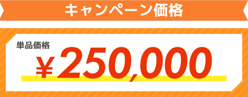 キャンペーン価格¥250,000